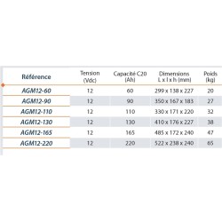 Batterie agm 12v 110ah pour utilisation solaire 2292