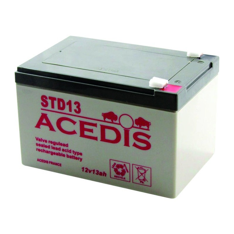 batterie plomb 12v13,3ah 339363