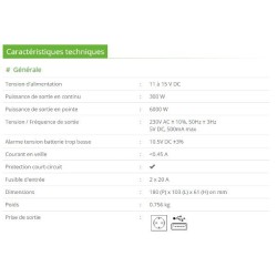 Convertisseur 12/220V 300W Black - PRESIDENT ELECTRONICS 341625