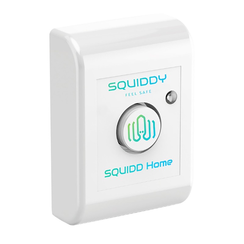squidd home - squiddy 389635